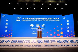 2019中國國際大數(shù)據(jù)產(chǎn)業(yè)博覽會銅仁分會場開幕 共繪“智慧銅仁”新藍圖